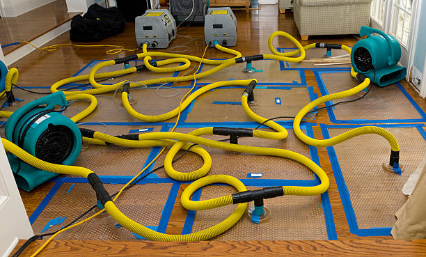 Professional Structural Drying And Dehumidification technician working in Holden, WV